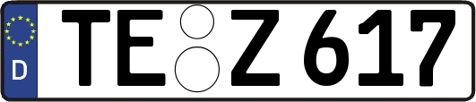TE-Z617