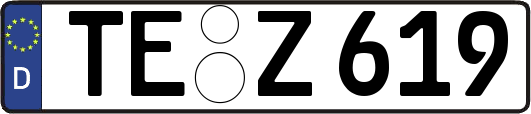 TE-Z619