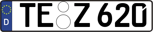 TE-Z620