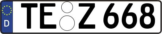 TE-Z668