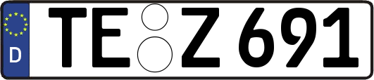TE-Z691
