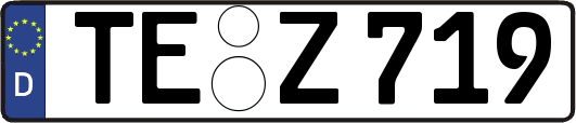 TE-Z719