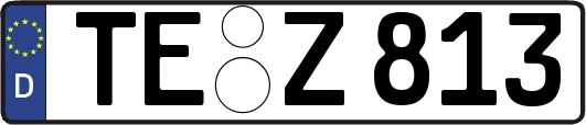 TE-Z813