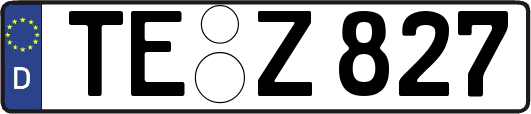 TE-Z827