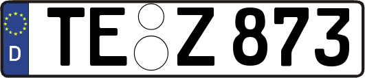 TE-Z873
