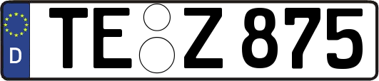 TE-Z875