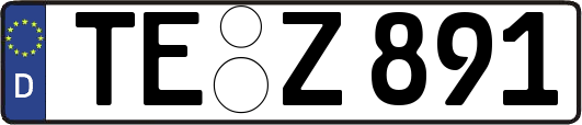 TE-Z891