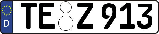 TE-Z913