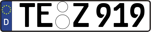 TE-Z919