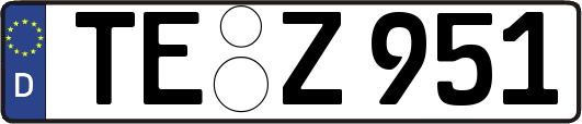 TE-Z951