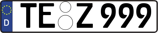 TE-Z999