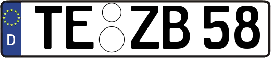 TE-ZB58