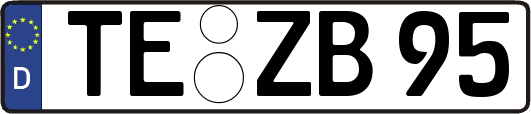 TE-ZB95