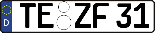 TE-ZF31