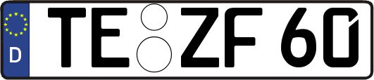 TE-ZF60