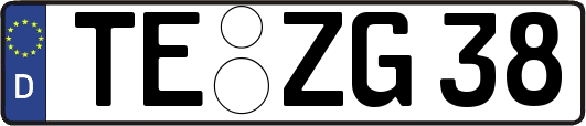 TE-ZG38