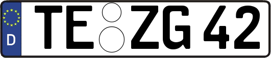 TE-ZG42