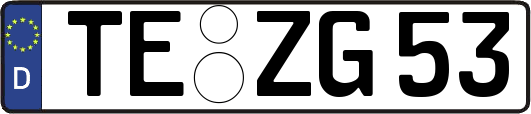 TE-ZG53