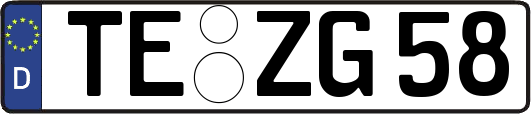 TE-ZG58