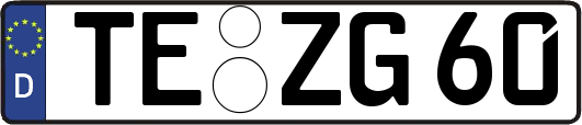TE-ZG60