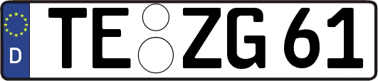 TE-ZG61