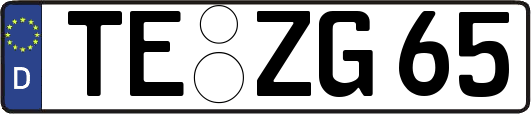 TE-ZG65
