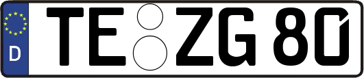 TE-ZG80