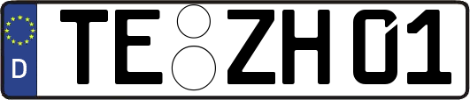 TE-ZH01