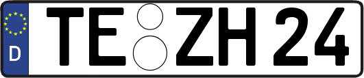 TE-ZH24