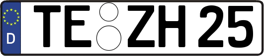 TE-ZH25
