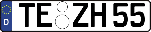 TE-ZH55