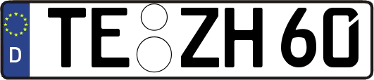 TE-ZH60