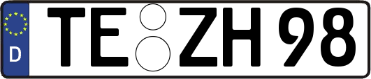 TE-ZH98