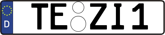 TE-ZI1