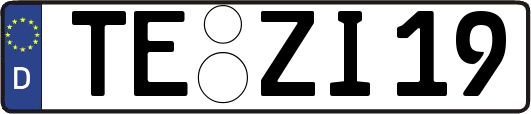 TE-ZI19