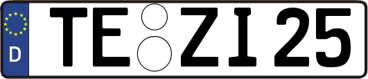 TE-ZI25