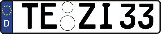 TE-ZI33