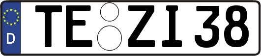 TE-ZI38