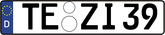 TE-ZI39