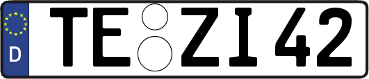 TE-ZI42