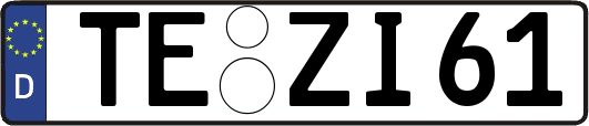 TE-ZI61