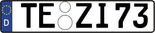 TE-ZI73