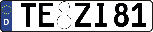 TE-ZI81