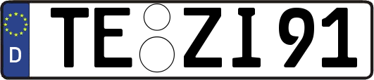 TE-ZI91