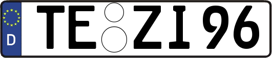 TE-ZI96