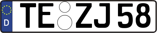 TE-ZJ58