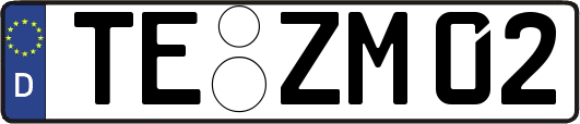 TE-ZM02