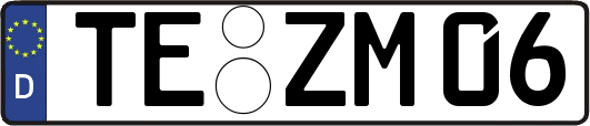 TE-ZM06
