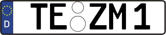 TE-ZM1