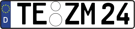 TE-ZM24